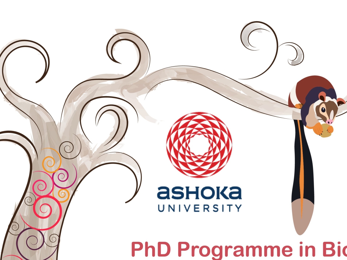 Promotional poster made for PhD Programme at Ashoka University