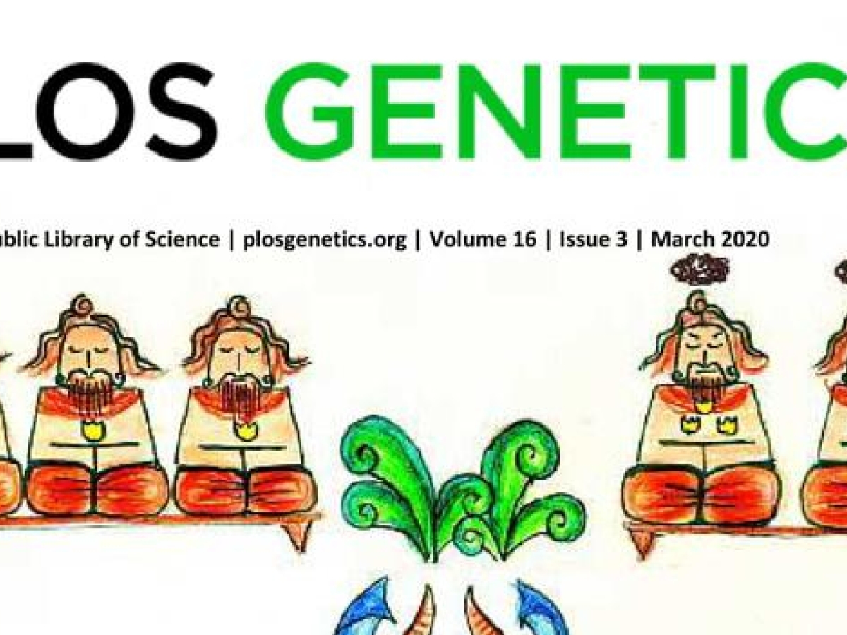 PLOS Genetics March 2020 Cover Art
